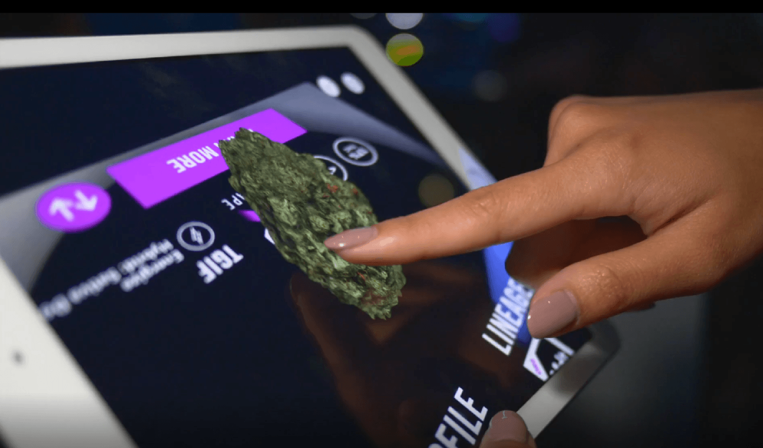 Image of AR Cannabis